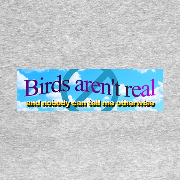 Birds aren't real (And nobody can convince me otherwise) by Big Tees